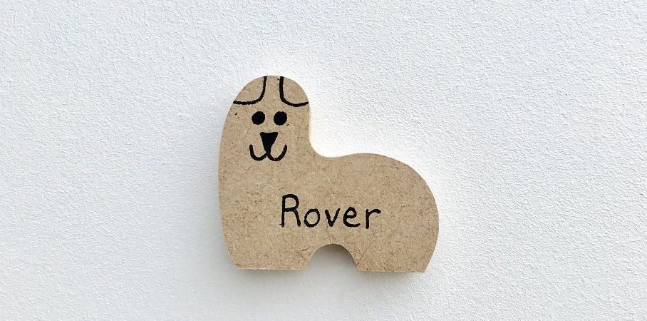 Dog Character